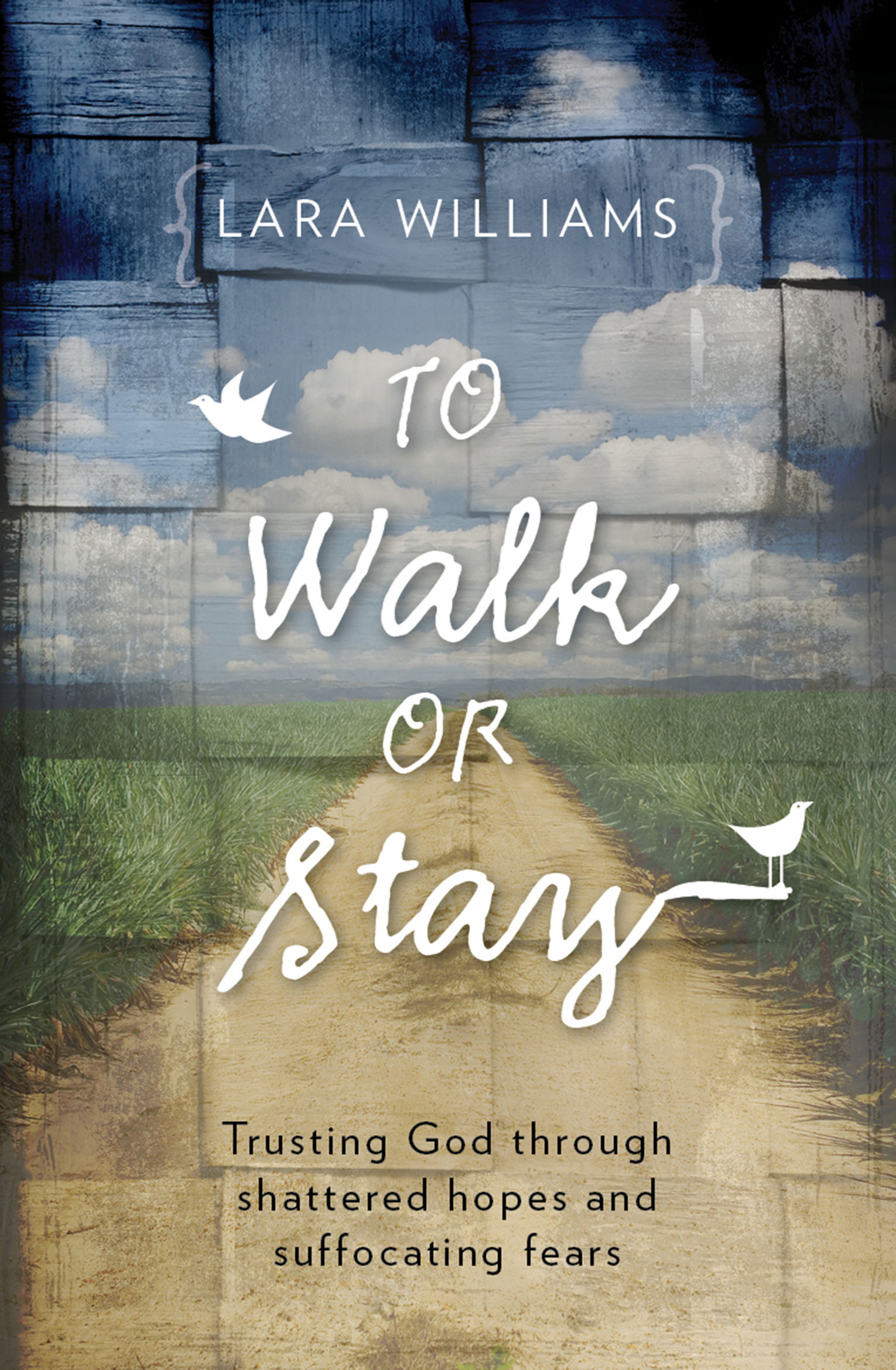 To Walk or Stay Cover